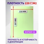 Картон цветной двухсторонний А4 100 листов Бледно-зеленый Картон цветной двухсторонний А4 100 листов Бледно-зеленый