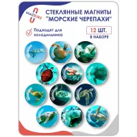 Стеклянные магниты на холодильник 3D Морские черепахи Стеклянные магниты на холодильник 3D Морские черепахи