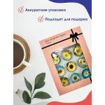 Стеклянные магниты на холодильник 3D Подсолнухи