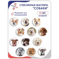 Стеклянные магниты на холодильник 3D Арт Собаки Стеклянные магниты на холодильник 3D Арт Собаки