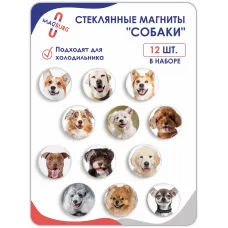 Стеклянные магниты на холодильник 3D Арт Собаки Стеклянные магниты на холодильник 3D Арт Собаки