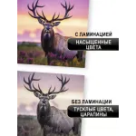 Пленка для ламинирования 60 микрон  100 листов    А4